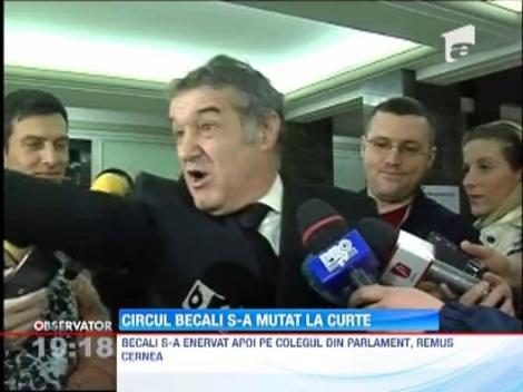 Gigi Becali sfideaza magistratii!