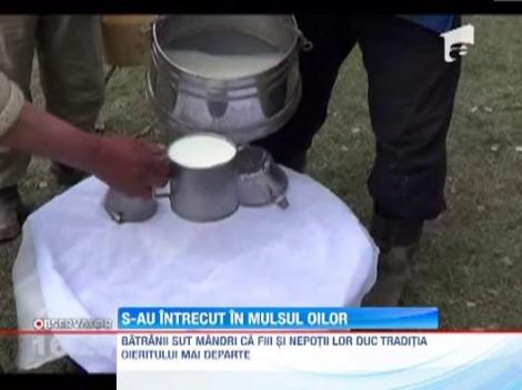 S-au intrecut in mulsul oilor