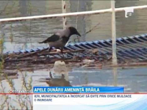 Apele Dunarii ameninta Braila