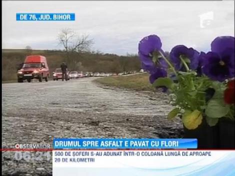 Drumul European 76: 500 de soferi au plantat flori in craterele din asfalt