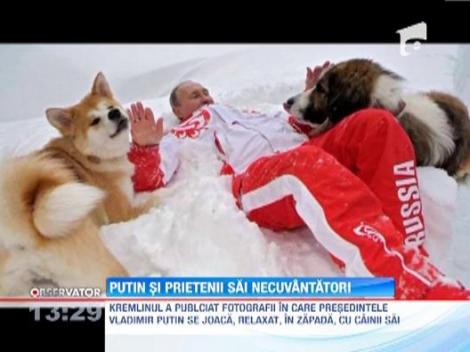 VIDEO: Vladimir Putin, un barbat sensibil...