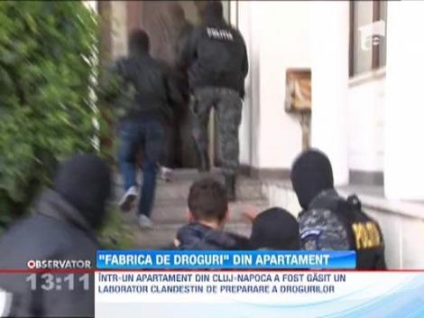 Vindeau kilograme intregi de etnobotanice prin curierat