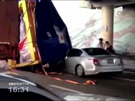 Reflex demn de un cascador profesionist