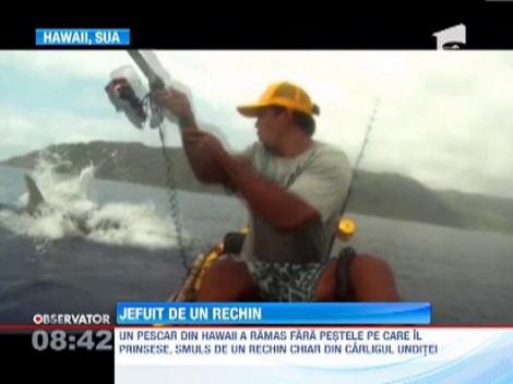 Pescar jefuit de un rechin