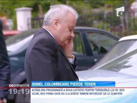UPDATE / Averea lui Irinel Columbeanu scoasa la licitatie