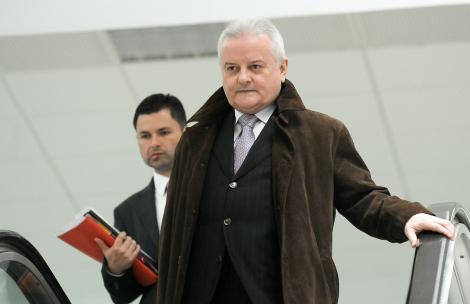 Averea lui Irinel Columbeanu scoasa la licitatie