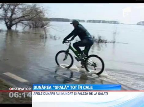 Nivelul fluviului Dunarea continua sa creasca. Insula Mare a Brailei a fost inundata