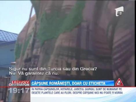 Capsune romanesti, doar cu eticheta
