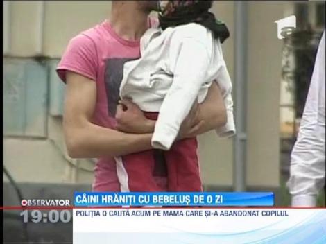 UPDATE / Cadavrul unui nou-nascut, gasit langa spitalul din Targu Carbunesti
