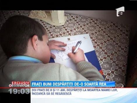 Doi frati de 8 si 11 ani, despartiti la moartea mamei lor, incearca sa se regasesca