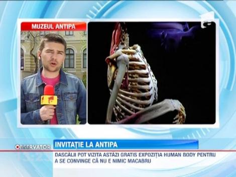 Dascalii pot vizita astazi gratis expozitia Human Body