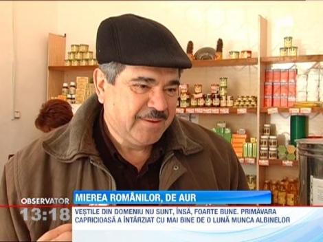 Apicultorii hunedoreni, premiati cu aur la cel mai mare si important targ de produse ECO din lume