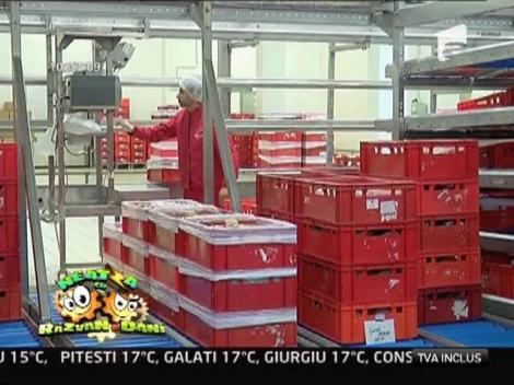 Cum se realizeaza produsele romanesti din carne