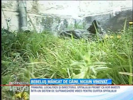 Mama care si-a lasat pruncul prada cainilor e de negasit! In spitalul din Targu Carbunesti, toate angajatele sunt controlate