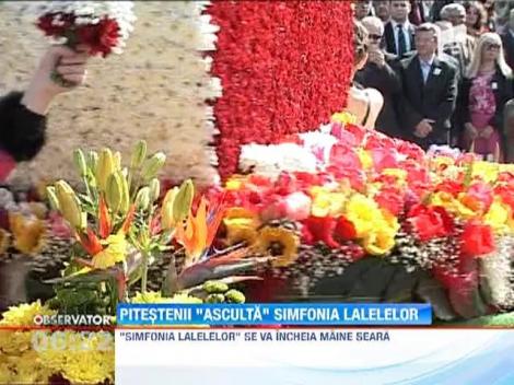 Pitestiul s-a umplut de flori! "Simfonia lalelelor" a ajuns la a 36-a editie