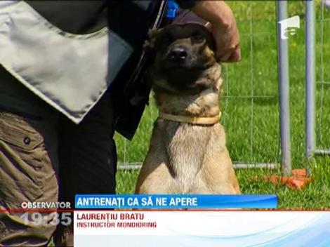 Mondioring, sportul campionilor