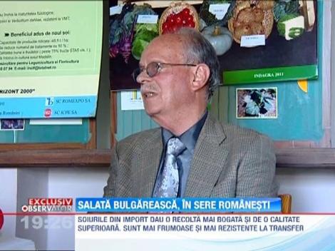 Salata bulgareasca, in sere romanesti