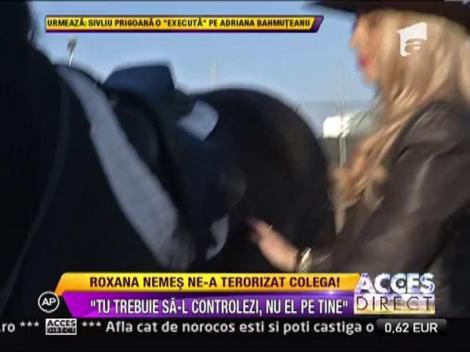 Roxana Nemes a luat lectii de calarie!