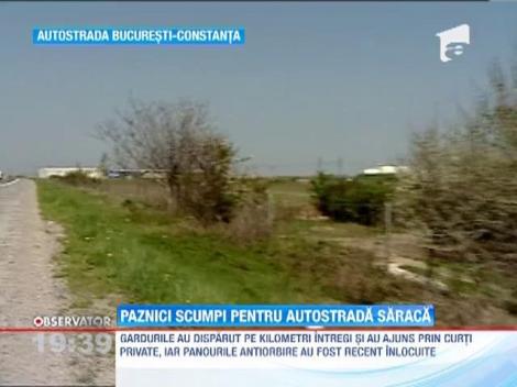 Compania de drumuri s-a decis sa puna paza la autostrada