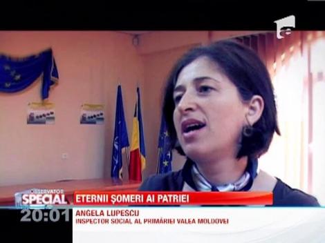 Valea Moldovei, comuna cu cei mai multi someri din Suceava