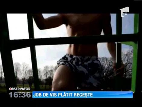 Job de vis platit regeste