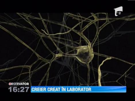 Calculator care imite perfect creierul