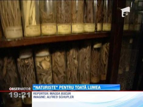 Tratamente naturiste periculoase