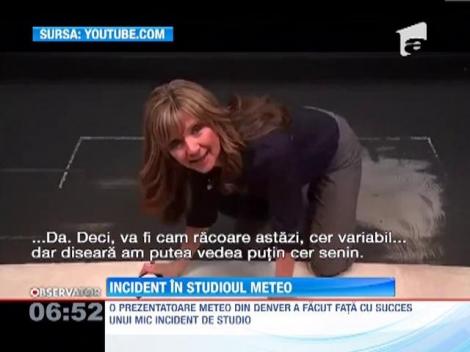Incident in studioul Meteo