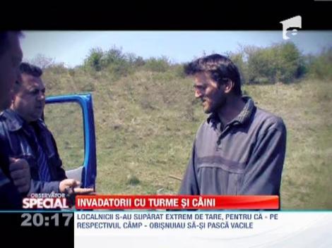 Ciobani sfidatori cu legea