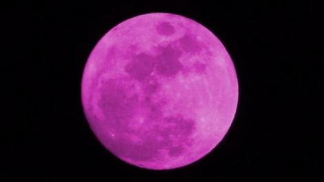 Fenomenul "Luna roz", vizibil si din Romania
