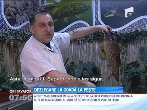 Dezlegare la coada de peste