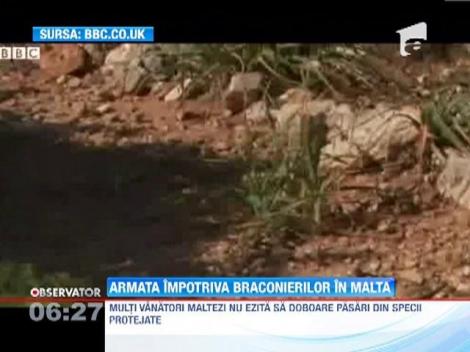 Guvernul din Malta a mobilizat armata impotriva braconierilor