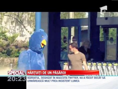 Pasaroi mare si albastru!