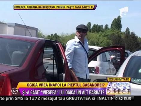 Viespea lui Ogica si-a gasit un alt barbat