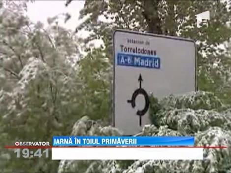 Iarna s-a intors in Spania: Ninsori abundente si temperaturi de 0 grade