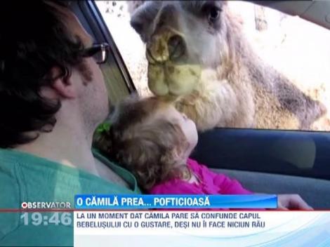 O camila prea pofticioasa