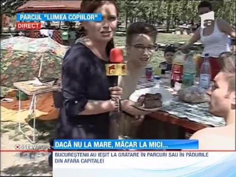 Bucurestenii au iesit la gratare in padurile de la marginea Capitalei