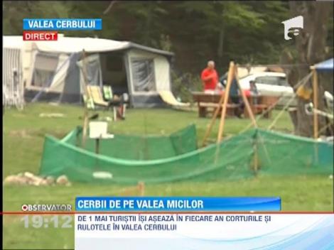 Valea Cerbilor, valea micilor