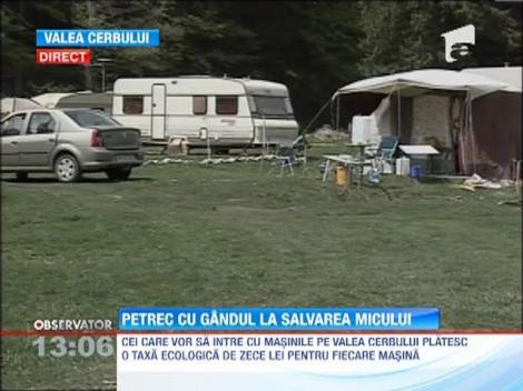 Peste o mie de oameni au ocupat Valea Cerbului din Masivul Bucegi