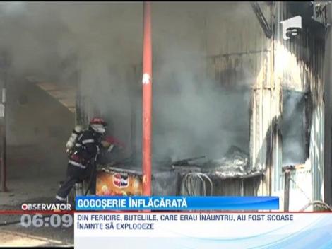 Gogoserie cuprinsa de flacari