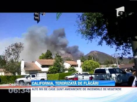 Incendii puternice de vegetatie in California
