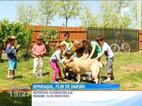 Iepurasul, plin de daruri