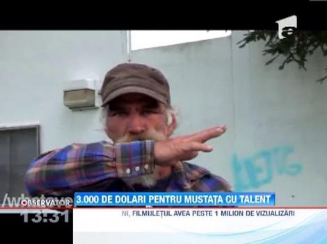 3.000 de dolari pentru o mustata cu talent