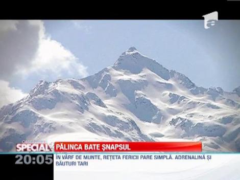 Palinca bate snapsul