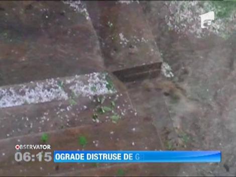 Grindina de marimea unui bob de mazare a distrus recolte in mai multe localitati din judetul Dambovita