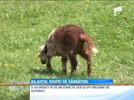 Bilantul cheltuielilor de Paste