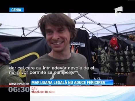 Marijuana legala nu aduce fericirea