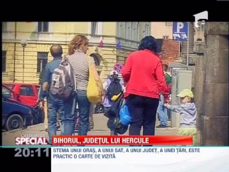 Text penibil pe stema Bihorului