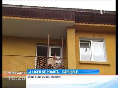 Liceu invadat de capuse