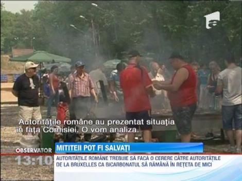 Micul romanesc poate fi salvat doar daca va fi declarat produs traditional